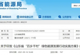 齊齊哈爾地方政策丨《山東省“百鄉(xiāng)千村”綠色能源發(fā)展行動(dòng)實(shí)施方案》